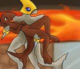 digshark saving a shark