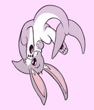 bunnyshark