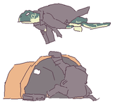 businessturtles july28 10