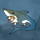 corgi shark